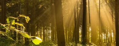 Entreprises 2 image EW ROMANSHORN Wohnungsmarkt dans Romanshorn TG