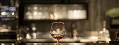 Immagine 6 azienda FOUR POINTS BY SHERATON SIHLCITY - ZURICH Hotels in Zurich ZH