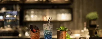 Immagine 3 azienda FOUR POINTS BY SHERATON SIHLCITY - ZURICH Hotels in Zurich ZH