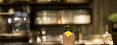 Immagine 36 azienda FOUR POINTS BY SHERATON SIHLCITY - ZURICH Hotels in Zurich ZH