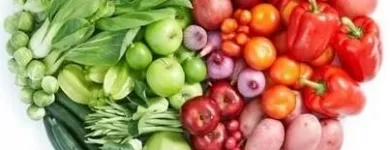 Immagine 22 azienda FRANCHES-MONTAGNES DÉCOUVERTE SARL Web-Designer in Saignelégier JU