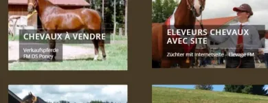 Immagine 25 azienda FRANCHES-MONTAGNES DÉCOUVERTE SARL Web-Designer in Saignelégier JU