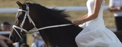 Immagine 26 azienda FRANCHES-MONTAGNES DÉCOUVERTE SARL Web-Designer in Saignelégier JU