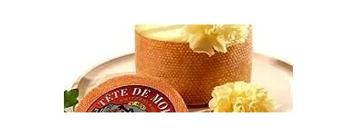 Immagine 29 azienda FRANCHES-MONTAGNES DÉCOUVERTE SARL Web-Designer in Saignelégier JU