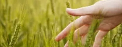 Immagine 4 azienda FRANCHES-MONTAGNES DÉCOUVERTE SARL Web-Designer in Saignelégier JU