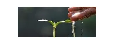 Immagine 17 azienda FRANCHES-MONTAGNES DÉCOUVERTE SARL Web-Designer in Saignelégier JU