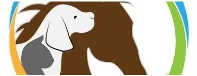 Immagine 19 azienda FRANCHES-MONTAGNES DÉCOUVERTE SARL Web-Designer in Saignelégier JU