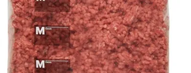 Immagine 28 azienda GEISSMANN PAPIER AG Produktion und Vertrieb von Gastronomiebedarf in Dottikon AG