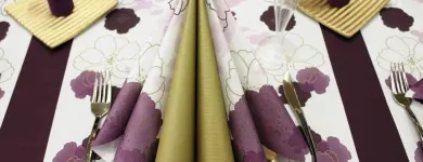 Immagine 2 azienda GEISSMANN PAPIER AG Produktion und Vertrieb von Gastronomiebedarf in Dottikon AG