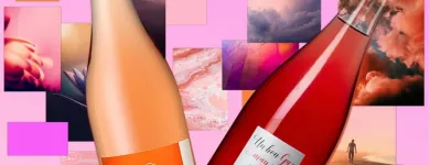 Entreprises 27 image GIL VINS TROUVAILLES DE FRANCE Weinkellereien dans Birmensdorf Zh ZH