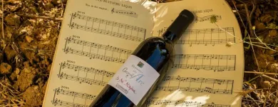 Entreprises 28 image GIL VINS TROUVAILLES DE FRANCE Weinkellereien dans Birmensdorf Zh ZH