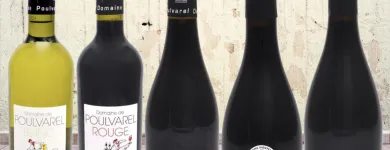Entreprises 2 image GIL VINS TROUVAILLES DE FRANCE Weinkellereien dans Birmensdorf Zh ZH
