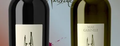 Entreprises 4 image GIL VINS TROUVAILLES DE FRANCE Weinkellereien dans Birmensdorf Zh ZH