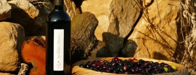 Entreprises 9 image GIL VINS TROUVAILLES DE FRANCE Weinkellereien dans Birmensdorf Zh ZH