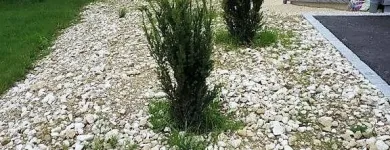Immagine 17 azienda HÄNER GARTENSERVICE Land-/Forstwirtschaft/Fischerei in Zullwil SO