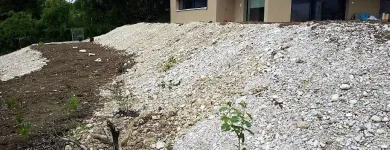 Immagine 19 azienda HÄNER GARTENSERVICE Land-/Forstwirtschaft/Fischerei in Zullwil SO