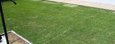 Immagine 24 azienda HÄNER GARTENSERVICE Land-/Forstwirtschaft/Fischerei in Zullwil SO