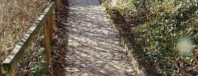 Immagine 3 azienda HÄNER GARTENSERVICE Land-/Forstwirtschaft/Fischerei in Zullwil SO