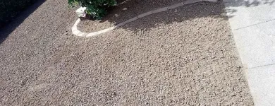 Immagine 6 azienda HÄNER GARTENSERVICE Land-/Forstwirtschaft/Fischerei in Zullwil SO