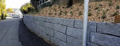 Immagine 7 azienda HÄNER GARTENSERVICE Land-/Forstwirtschaft/Fischerei in Zullwil SO