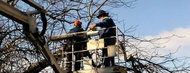 Immagine 8 azienda HÄNER GARTENSERVICE Land-/Forstwirtschaft/Fischerei in Zullwil SO