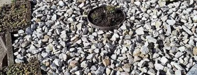 Immagine 9 azienda HÄNER GARTENSERVICE Land-/Forstwirtschaft/Fischerei in Zullwil SO