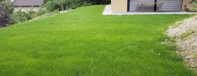 Immagine 11 azienda HÄNER GARTENSERVICE Land-/Forstwirtschaft/Fischerei in Zullwil SO