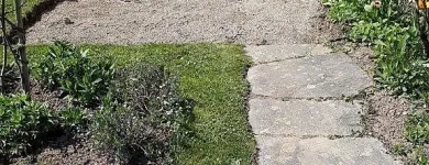 Immagine 14 azienda HÄNER GARTENSERVICE Land-/Forstwirtschaft/Fischerei in Zullwil SO