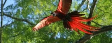 Entreprises 7 image HANG LOOSE TRAVELSERVICE Transport/Verkehr/Tourismus dans Berne BE