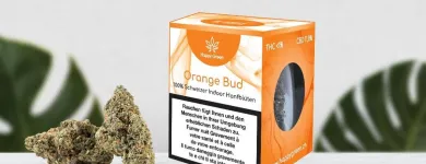 Unternehmen 13 Bild HAPPY GREEN - CBD BLÜTEN CBD ÖL - SCHWEIZ Medizinisches Cannabis am Villmergen AG