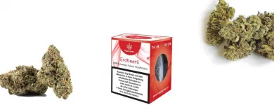 Unternehmen 18 Bild HAPPY GREEN - CBD BLÜTEN CBD ÖL - SCHWEIZ Medizinisches Cannabis am Villmergen AG