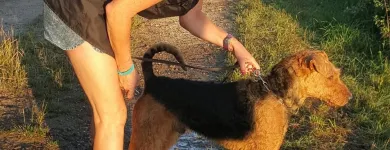 Unternehmen 2 Bild HAPPYPARADISE HUNDESALON Tierzucht und Tierhaltung am Zürich ZH