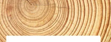 Unternehmen 8 Bild HÄUSERMANN LENZBURG AG Fussbodenleger, Parkettleger am Lenzburg AG