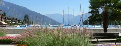 Unternehmen 2 Bild HOTEL RESTAURANT SEEGARTEN MARINA SPIEZ Hotels am Spiez BE