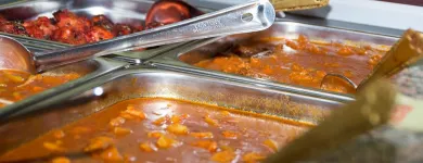 Entreprises 2 image INDIAN RESTAURANT ROYAL PALACE Vegetarische Restaurants dans Basel BL