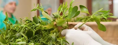 Unternehmen 12 Bild ISCADOR AG Ärzte am Arlesheim BL