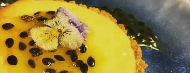 Unternehmen 5 Bild JANE FINE FOOD Veranstalter am Zurich ZH