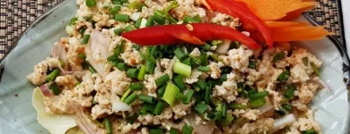Unternehmen 14 Bild JOY'S THAI RESTAURANT Thailändische Restaurants am Solothurn SO