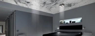 Immagine 14 azienda KAMEHA GRAND ZURICH, AUTOGRAPH COLLECTION Veranstaltungen/Messen in Zurich ZH