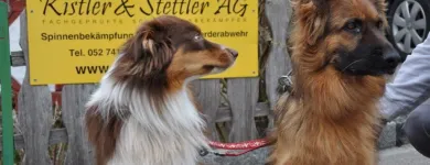 Entreprises 7 image KISTLER & STETTLER AG Schädlingsbekämpfungsunternehmen dans Zürich ZH