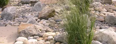 Unternehmen 10 Bild KNECHTLI GARTENBAU AG Land-/Forstwirtschaft/Fischerei am Schöftland AG