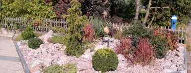 Unternehmen 4 Bild KNECHTLI GARTENBAU AG Land-/Forstwirtschaft/Fischerei am Schöftland AG