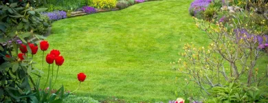 Unternehmen 6 Bild KNECHTLI GARTENBAU AG Land-/Forstwirtschaft/Fischerei am Schöftland AG