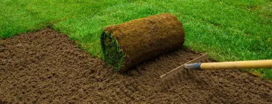 Unternehmen 7 Bild KNECHTLI GARTENBAU AG Land-/Forstwirtschaft/Fischerei am Schöftland AG