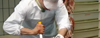 Immagine 7 azienda KOCH DULLIKEN AG Tischlerarbeiten in Dulliken SO