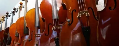 Unternehmen 3 Bild KOCH KARL AG Musikinstrumente Einzelhandel am Reussbühl LU