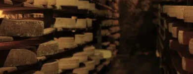 Entreprises 1 image LA MAISON DU FROMAGE STERCHI Nahrungs-/Genussmittel dans La Chaux-De-Fonds NE