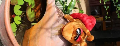 Immagine 22 azienda LEGRA HANDSPIELPUPPEN GMBH Spielwaren Einzelhandel in Eschenbach LU