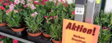 Unternehmen 2 Bild LIDL SCHWEIZ Textil/Bekleidung am Sursee LU