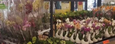 Immagine 24 azienda LIDL SCHWEIZ Textil/Bekleidung in Brig-Glis VS